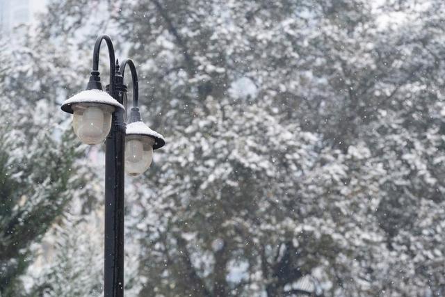 雪花叩门时：哈尔滨的冬日童话