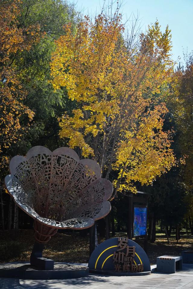 一半秋色在净月潭 另一半在你的镜头里→