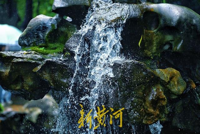 秋雨润泉城，济南两大泉群涨出新高度