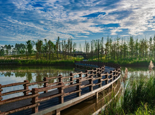 发现·公园城市 | 深呼吸，感受成都湿地魅力