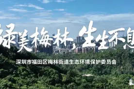 成效显著！梅林街道生物多样性宣传视频发布视频封面