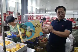 好山东|不是所有的秋月梨都叫“谭秋月”图片