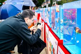 2025年福州金鱼新春展览开展图片