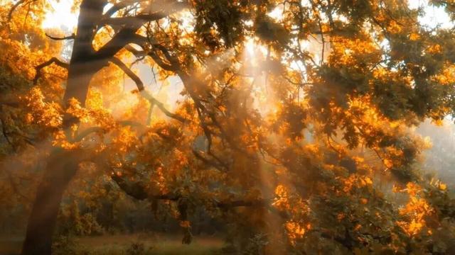 余杭初冬藏不住！这些秘境绝美~