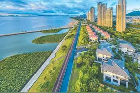 沿着总书记的足迹看红树林保护图片