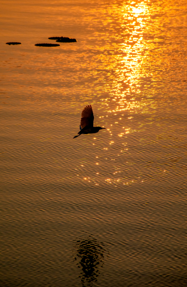 任克威·邂逅星城｜于湖大深秋，于湘江夜色