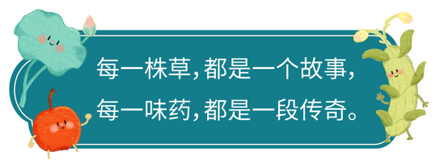 【赠票】亲子必玩！化身小药童闯关本草世界｜静宝福利站
