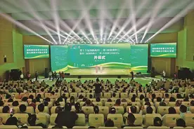 海峡两岸共绘绿色发展新画卷！第十九届海峡两岸（三明）林业博览会暨第三届海峡两岸（三明）乡村融合发展论坛回眸图片