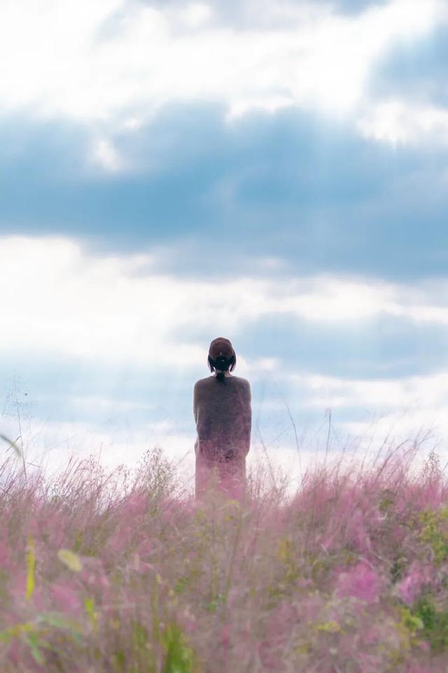 粉黛、菊展、芦苇正盛，东湖最美秋光上线！