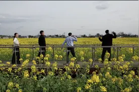 书记镇长油菜田整活，魔性舞步带火万亩花海图片