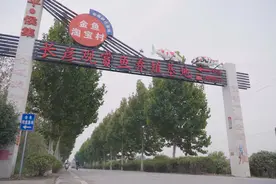 “千万工程”在俺村⑥丨锦鲤村跃“农”门 一尾小鱼“游”出富民路图片