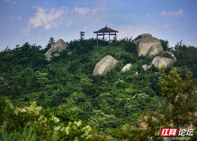 高清湖南丨云来云去处，我在天龙山邂逅山河之美