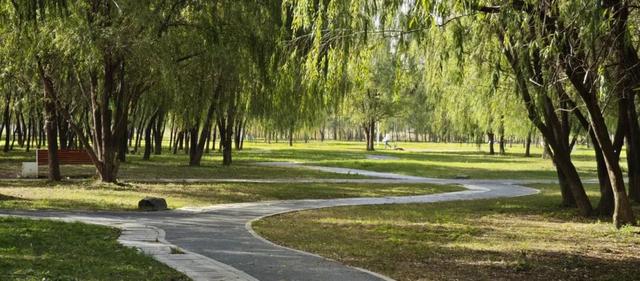 遇见丨开福·逛三园：我在「鸭嘴公园」好快乐鸭！