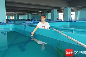 市场前景广阔 海南突破海马规模化养殖技术图片