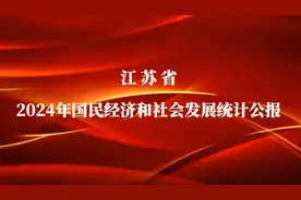 2024年江苏居民人均可支配收入达55415元，同比增长5.2%图片