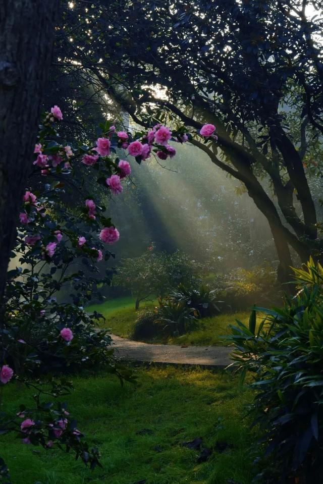 征集！武汉市民文旅大讲堂邀您共赴武汉植物园，开启一场冬日自然之约