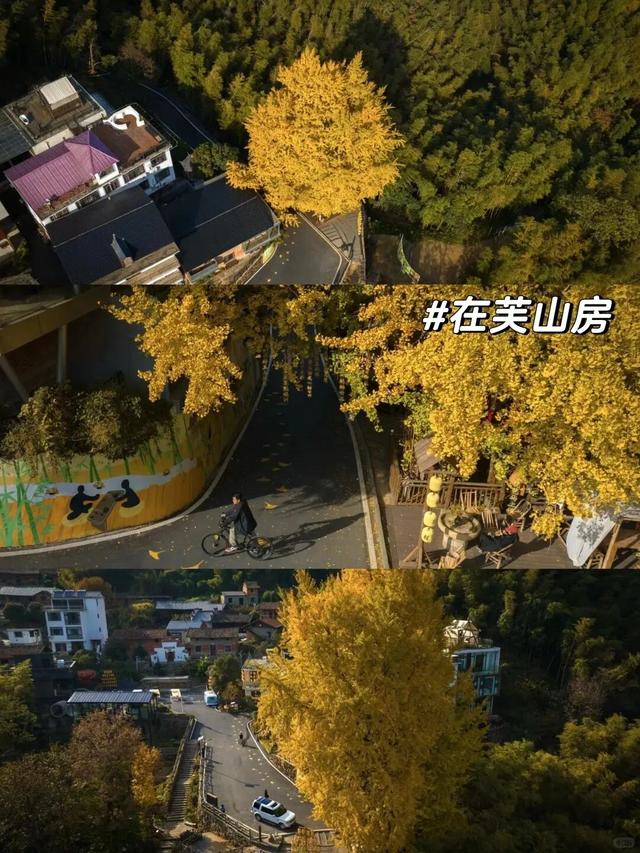 一秒入秋！接下来的江西是这样的…