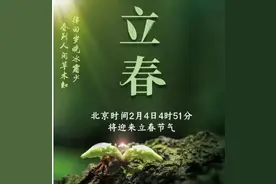 立春：站在春天里，静待春暖花开图片