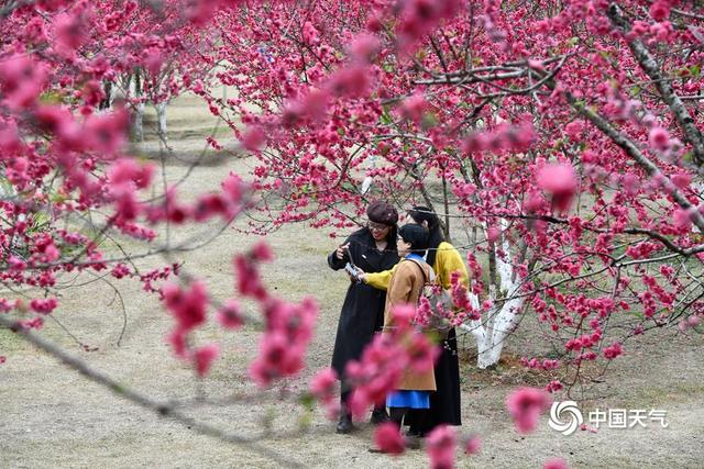 妇女节：天晴繁花映芳华 春风十里不负她