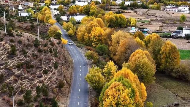 它都这么美了！差点忘记推给你了