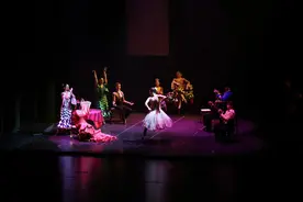 惊艳舞步演绎传世经典 弗拉门戈鼻祖版《卡门》在海南上演图片