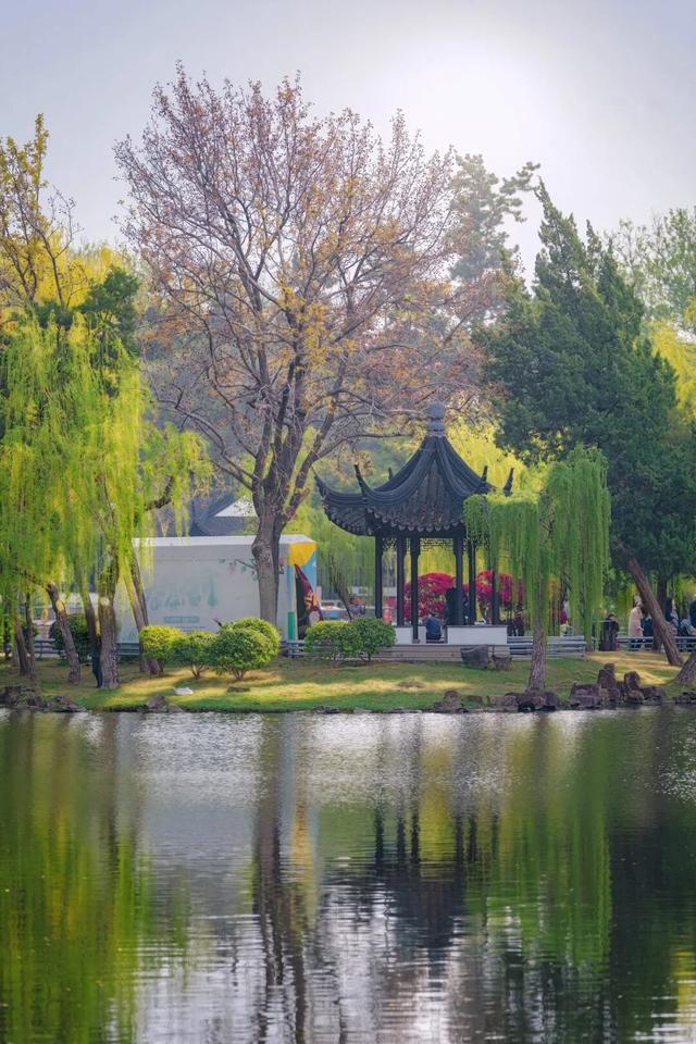 在运河畔，把初夏走了个遍！
