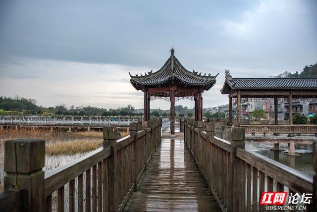 岁暖时刻丨寻访"爱莲说"的诞生地：秋色浸染的道县楼田村