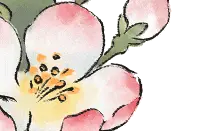 海棠节嗨翻了！这场繁花与欢笑交织的盛宴，有看头图片