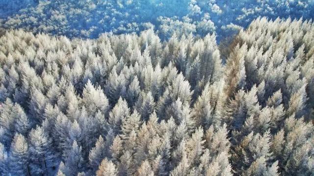 学习强国 | 河北崇礼：桦皮岭上雾凇美