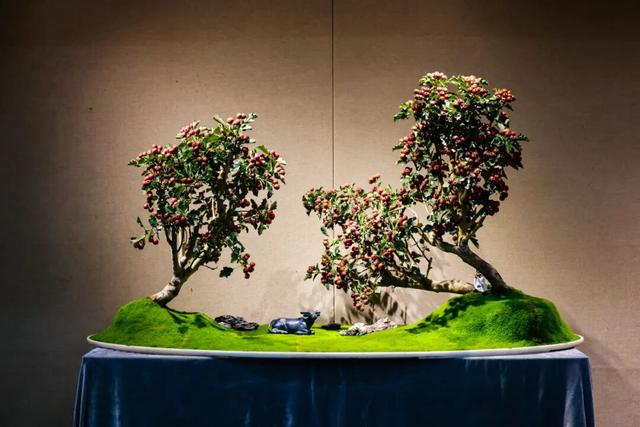 缤纷花事扮靓金秋！国家植物园假期游园攻略来啦