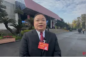 《哪吒2》爆火助推成都文化产业发展，委员建议：把数字氛围“搞起来”图片