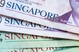 新加坡暂停部分向中国汇款渠道！我使馆再次提醒图片