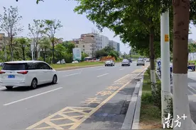 记者探访广州白云区迎宾大道的露天如厕现象图片