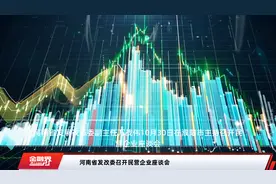 河南省发改委召开民营企业座谈会视频封面