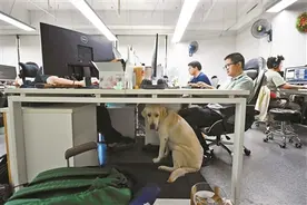 盲人程序员在黑暗中探寻游戏人生图片