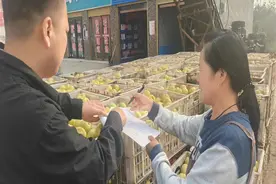 石桥镇：发挥民营企业优势 鼓起梨农增收“钱袋子”图片