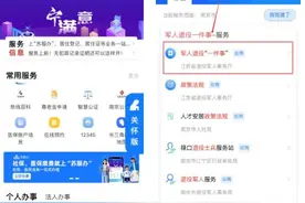 一部手机，退役军人幸福生活触手可及！江苏“数智”方案被全国同行点赞图片