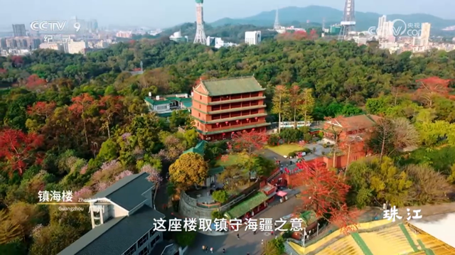 央视热播！就在身边，不少越秀街坊天天见