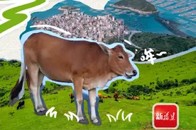 没想到吧！在福建也可以“环游世界”图片