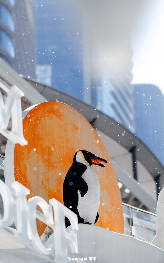 “这可能是深圳最热闹的周末，攻略准备好了”