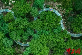 北京今夏玩水新地标！平谷梨树沟3000米日夜双模式漂流开漂，森林花海×水上银河一键解锁图片