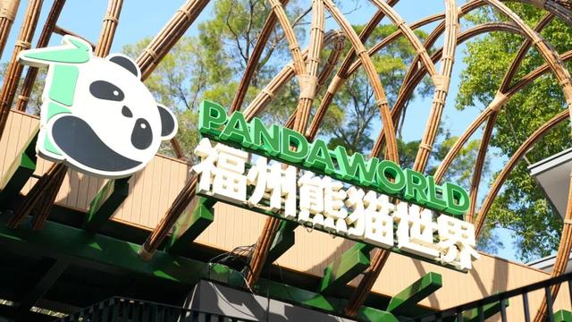 福州熊猫世界开园时间全公开！购票指南→