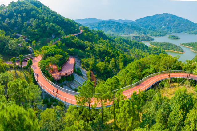 我想离开浪浪山，去广东！