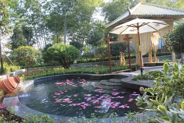 一键收藏！卾冬最全滑雪攻略