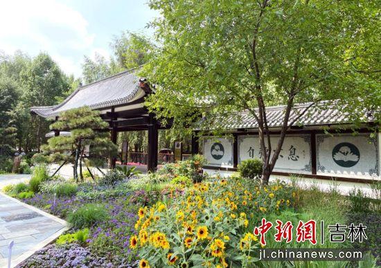 长春市新民大街隔壁有座“宝藏公园”