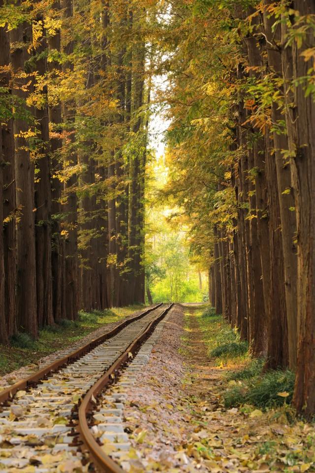 日照人的嘴是真严啊！这里都美成啥了！