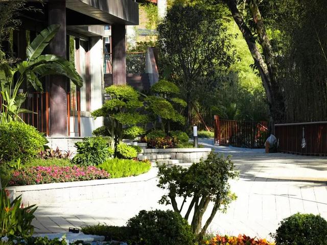 福州熊猫世界开园时间全公开！购票指南→