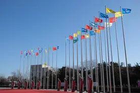 枣庄市市中区荣耀广场：80面企业旗帜飞扬，见证第三届企业家大会开启美好新征程图片