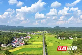 《花儿绽放》长沙站录制火热收官 河南村支书张桂芳人气入围图片