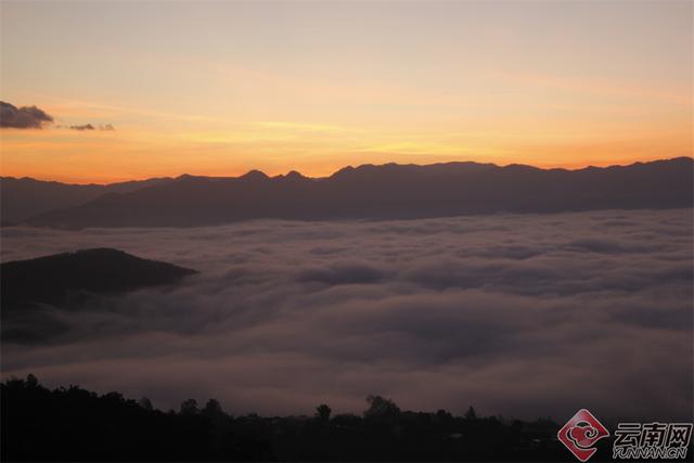 临沧临翔：邦东乡秋茶遇云海 山水画卷醉游人